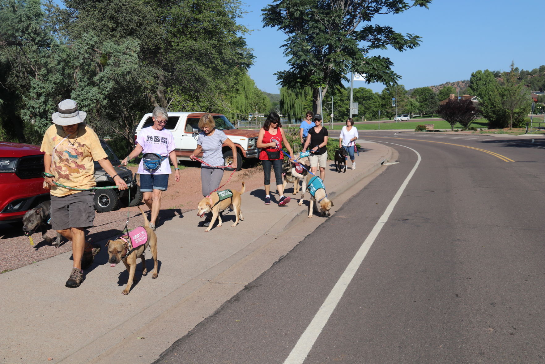 Pups on parade ladies who walk HSCAZ dogs